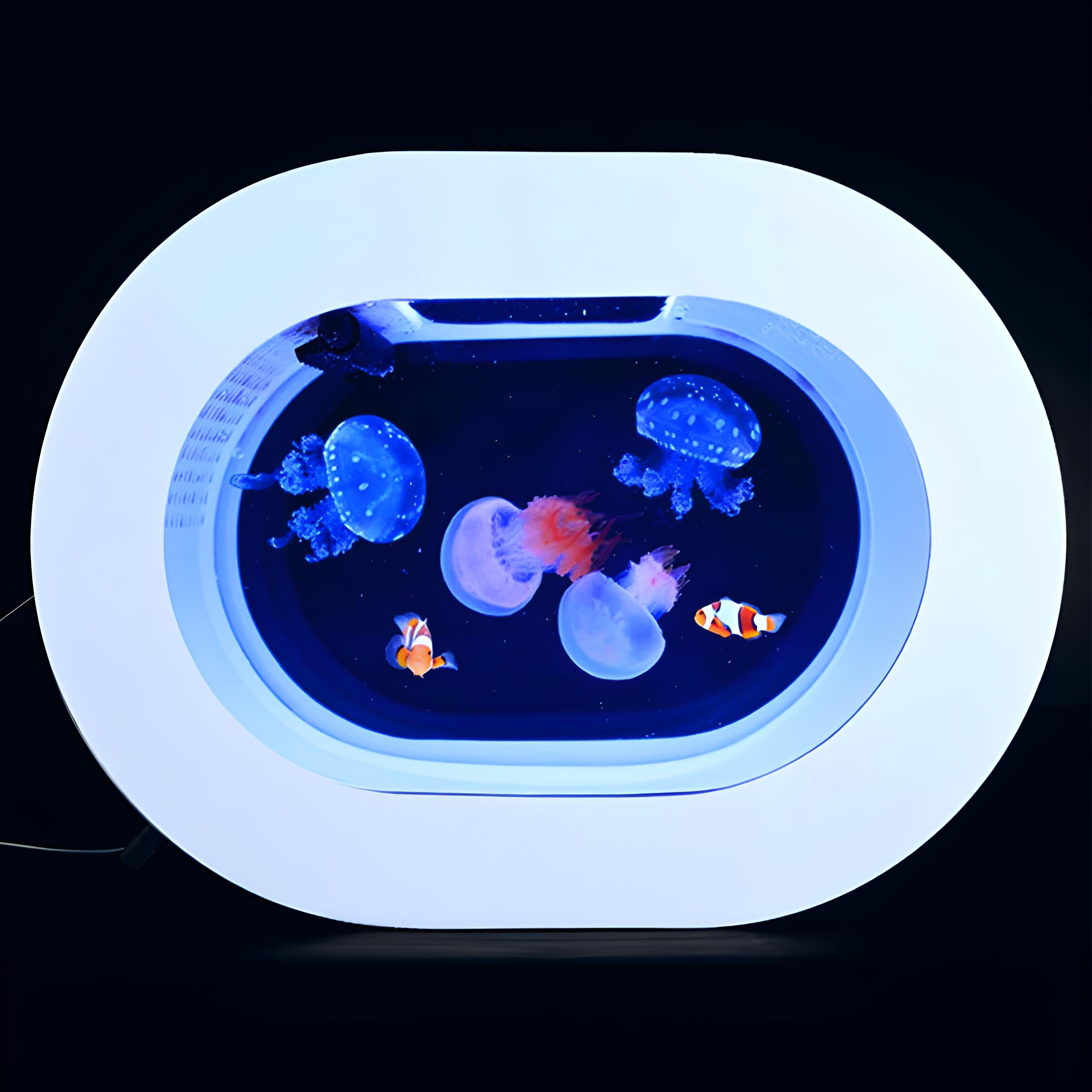 Aquarium Lampe Méduse - Atlantium